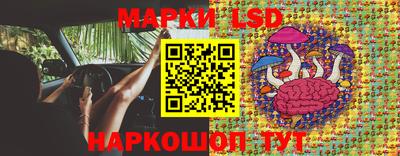 гашик Ипатово