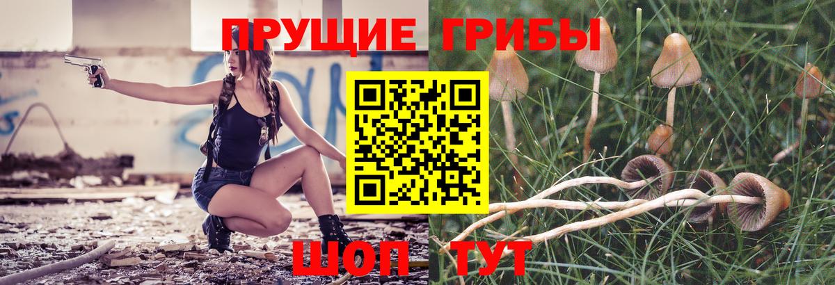 Лесозаводск  Псилоцибиновые грибы Magic Shrooms  Вход с VPN  Псилоцибиновые грибы Cubensis 