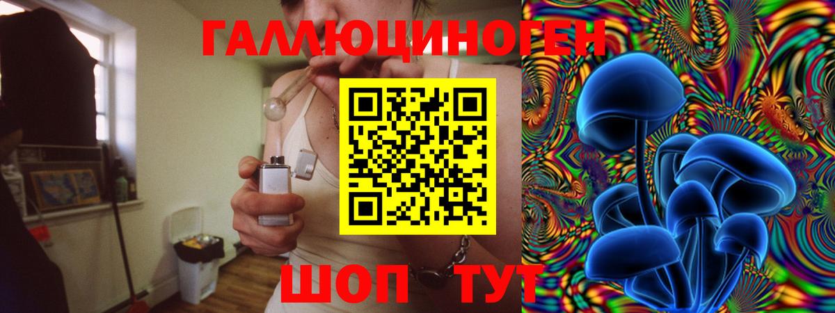 Псилоцибиновые грибы мицелий Лесозаводск